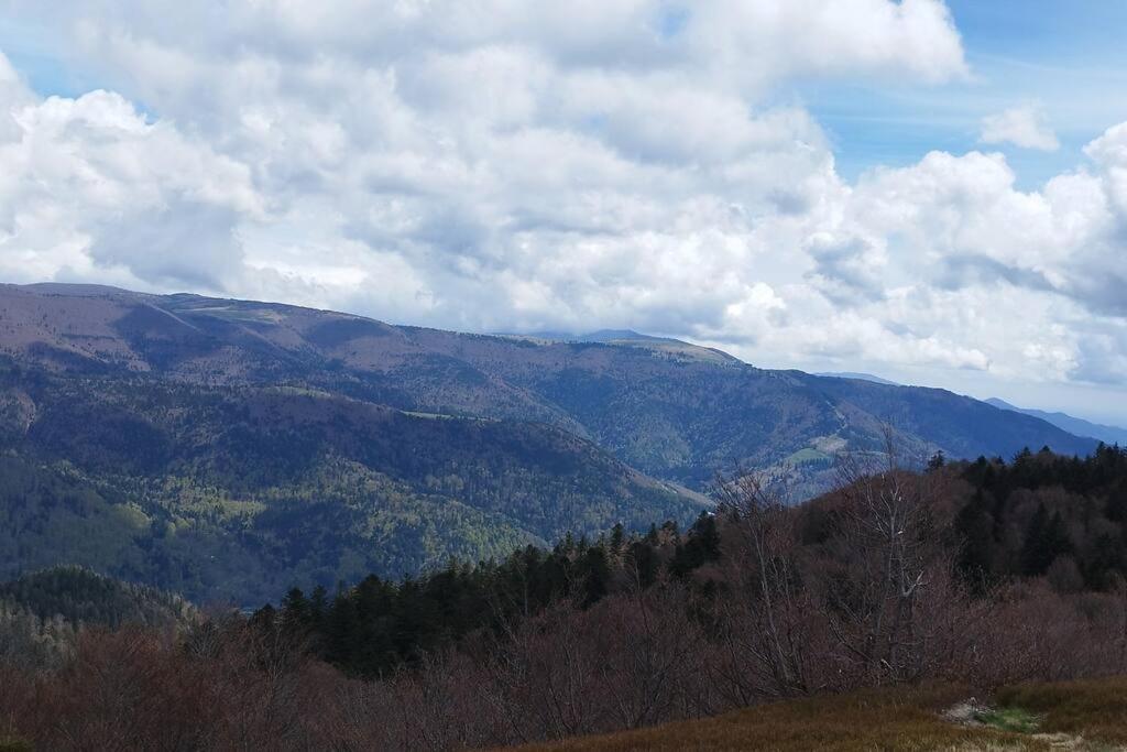 Maison De Montagne Vue Magnifique 旺特龙 外观 照片