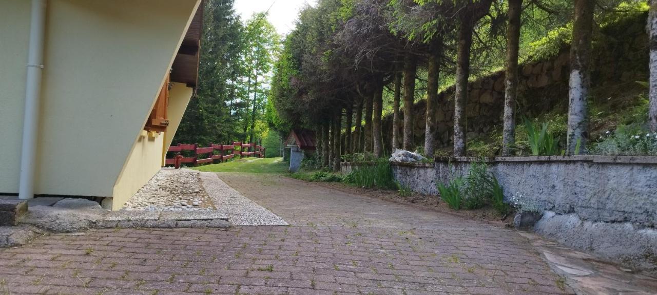 Maison De Montagne Vue Magnifique 旺特龙 外观 照片